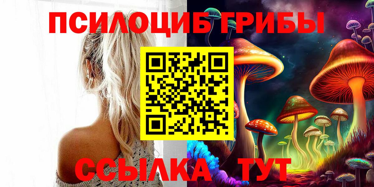 Псилоцибиновые грибы мухоморы Санкт-Петербург