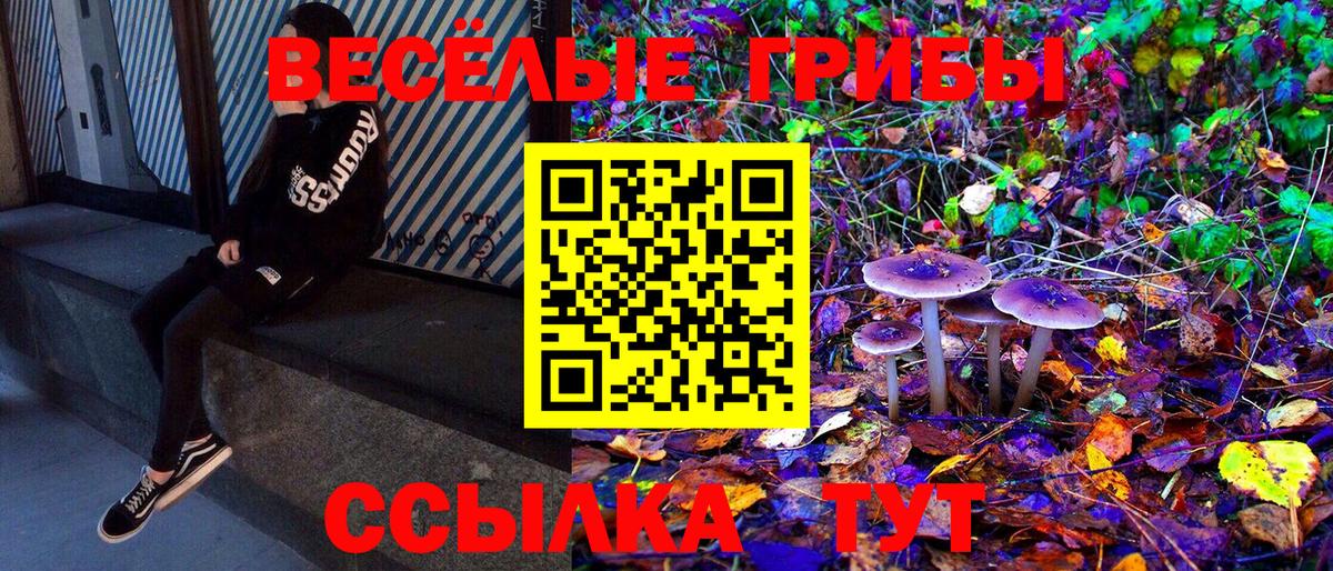 Галлюциногенные грибы прущие грибы  Вход с VPN  Галлюциногенные грибы MAGIC MUSHROOMS  Санкт-Петербург 